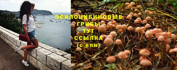 скорость Баксан