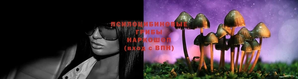 дживик Балахна