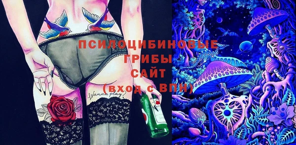 дживик Балахна