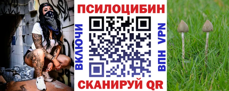 Галлюциногенные грибы Psilocybe  даркнет сайт  Суздаль 